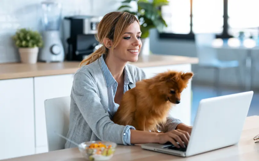 Prosperați ca freelancer